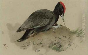 A Swedish woodpecker by Archibald Thorburn