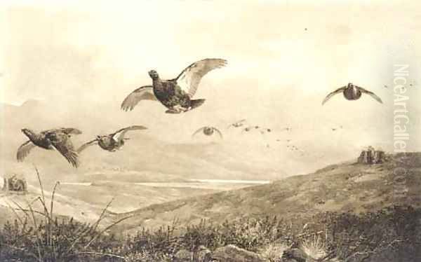 On the grouse moor - view 1