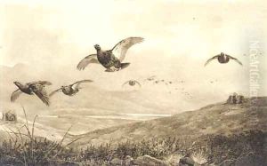 On the grouse moor