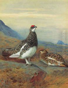Ptarmigan in summer plumage by Archibald Thorburn