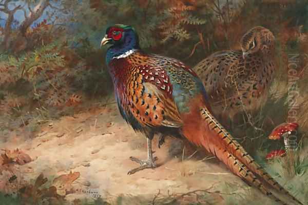 A Cock and Hen Pheasant - view 1