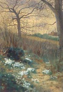 An early spring morning