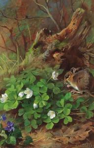 Woodmouse and wood sorrel by Archibald Thorburn