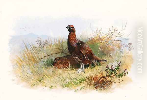 A Pair of Red Grouse - view 1