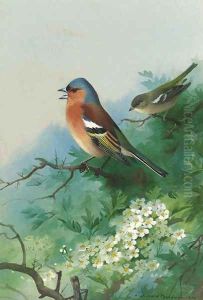 Chaffinches among hawthorn by Archibald Thorburn
