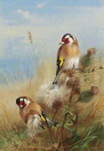 Goldfinches among thistles by Archibald Thorburn