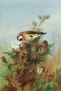 Goldfinches on thistledown