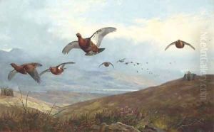 Grouse shooting by Archibald Thorburn