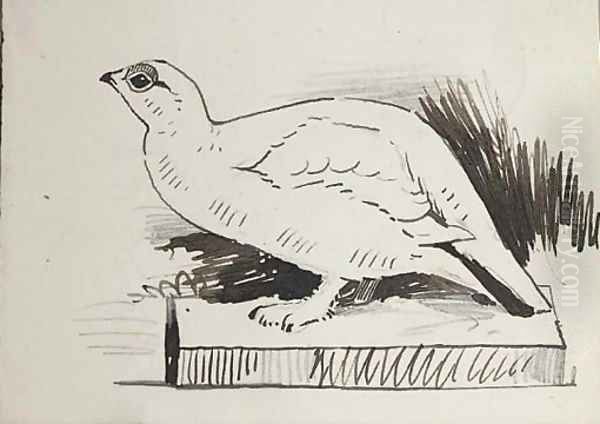 Sketch of bird - view 1