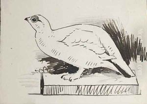 Sketch of bird
