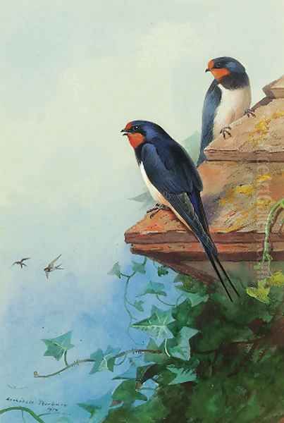 Swallows on an ivy-covered roof - view 1