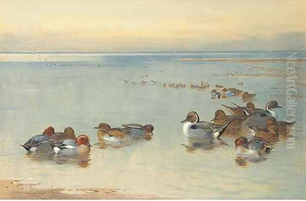Teal and Widgeon - view 1