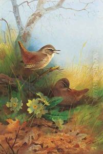 Two wrens amongst primroses by Archibald Thorburn