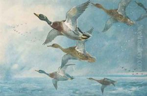 Geese by Archibald Thorburn