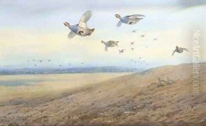 Partridge in flight 2 by Archibald Thorburn