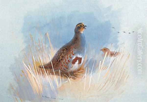 Partridges - view 1