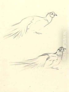 Two cock pheasants, a sketch by Archibald Thorburn