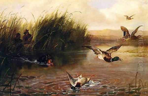 Duck Shooting - view 1