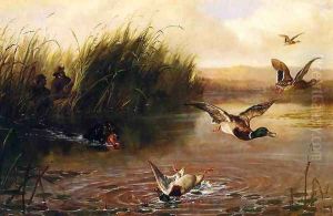 Duck Shooting by Arthur Fitzwilliam Tait