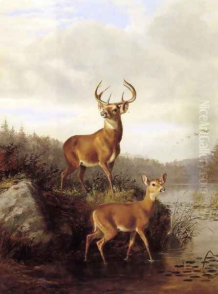 Buck and Doe - view 1