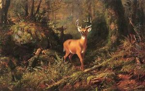 The Adirondacks by Arthur Fitzwilliam Tait