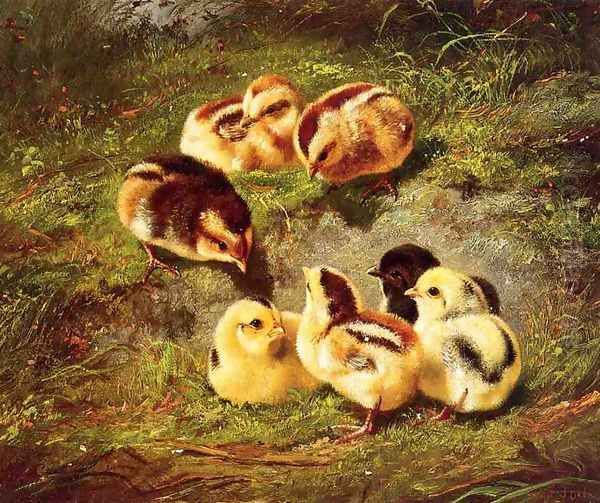 Chickens - view 1