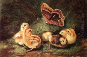 Young Chickens by Arthur Fitzwilliam Tait
