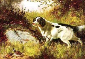 Dog and Quail by Arthur Fitzwilliam Tait