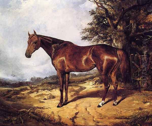 Thoroughbred - view 1