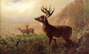 A Tempting Shot by Arthur Fitzwilliam Tait