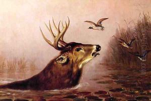 Deer in Marsh by Arthur Fitzwilliam Tait