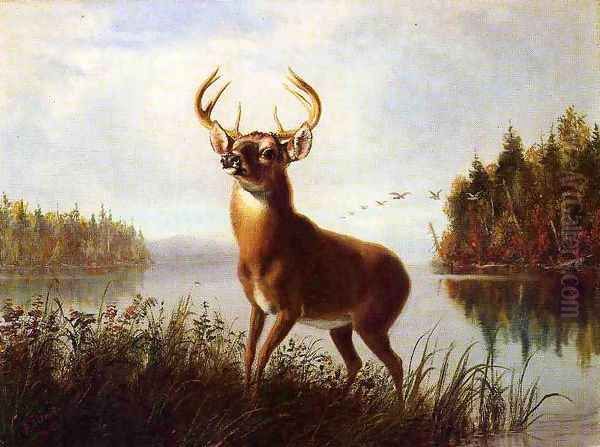 Eight Point Stag - view 1