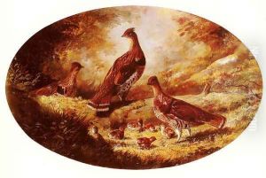 Grouse Family Grouse Family
