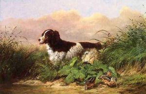 Setter and Woodcock by Arthur Fitzwilliam Tait