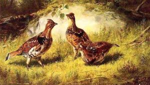 Ruffed Grouse by Arthur Fitzwilliam Tait