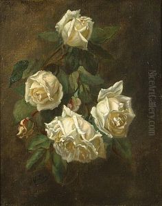 Witte Rozen Witte Rozen