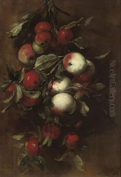 Apples - view 1