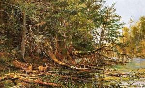 The Outlet of St. Regis Lake by Arthur Fitzwilliam Tait
