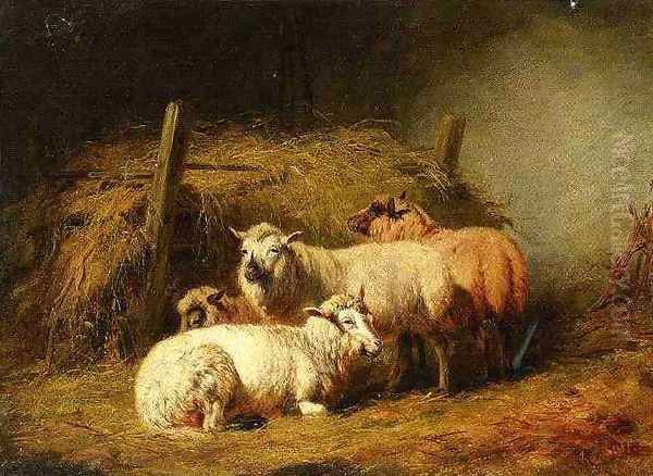 Sheep in Shed - view 1