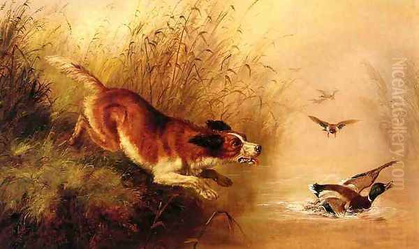 Spaniel Chasing Ducks - view 1