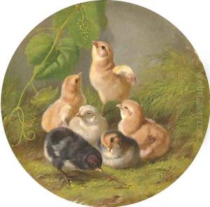 Chicks by Arthur Fitzwilliam Tait