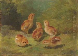 Young Grouse by Arthur Fitzwilliam Tait