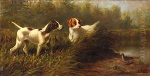 On Point, A Setter and Pointer wih a Woodcock