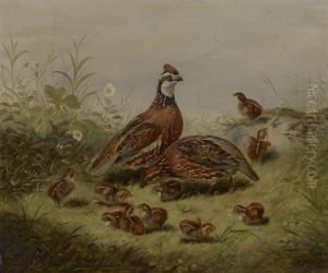 Quail and Young by Arthur Fitzwilliam Tait