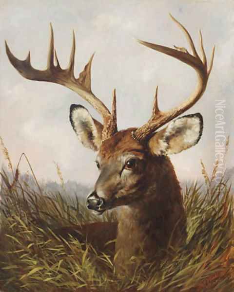 The Stag - view 1