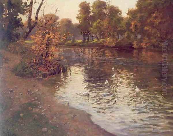 ducks - view 1