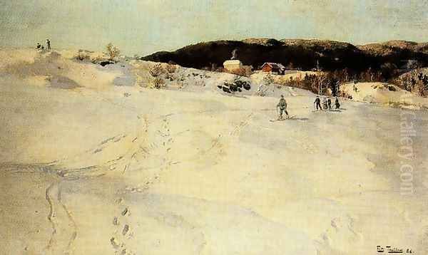 A Winter Day in Norway - view 1
