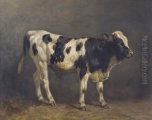 Junger Stier by Friedrich Johann Voltz