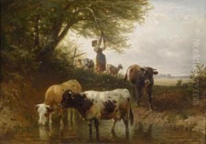 Cowscrossing A Ford