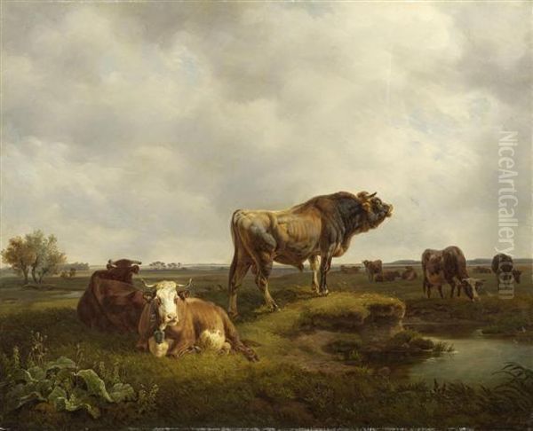 Cows And Bull On A Meadow - view 1